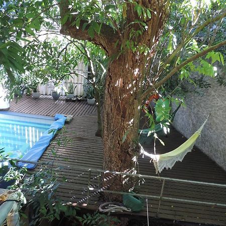 B&B Vitoria Regia Rio de Janeiro Bagian luar foto