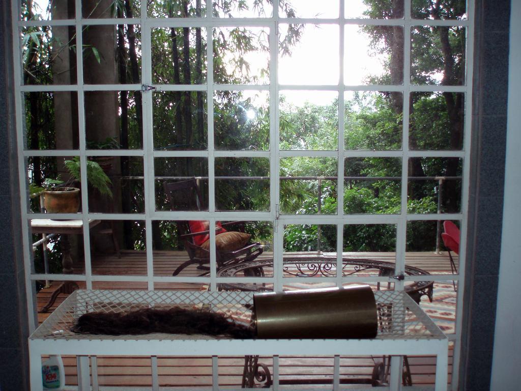 B&B Vitoria Regia Rio de Janeiro Ruang foto