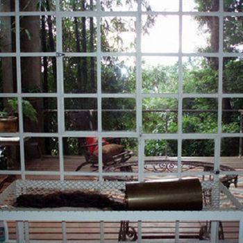 B&B Vitoria Regia Rio de Janeiro Bagian luar foto